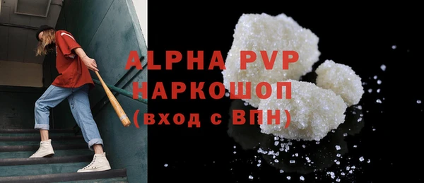 гашик Козельск