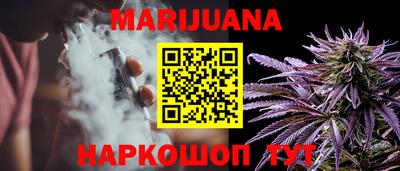 шишки Ставрополь