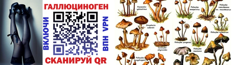 даркнет сайт  Долгопрудный  Галлюциногенные грибы GOLDEN TEACHER 