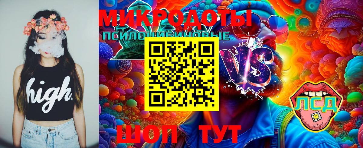 Галлюциногенные грибы Cubensis  Долгопрудный 