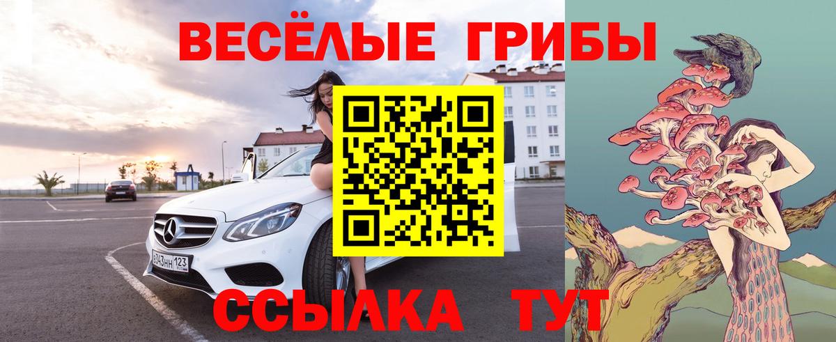 Галлюциногенные грибы прущие грибы  Галлюциногенные грибы Cubensis  Вход с VPN  Долгопрудный 