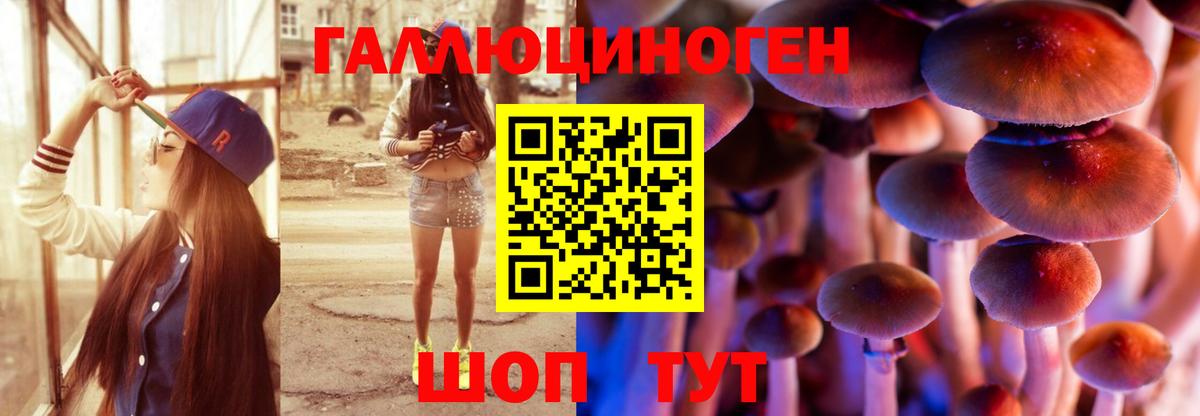 Галлюциногенные грибы мицелий Долгопрудный