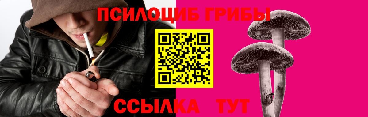 Галлюциногенные грибы мицелий Долгопрудный