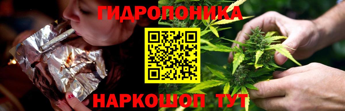 Каннабис OG Kush Долгопрудный